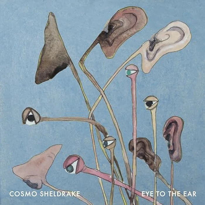 Stop The Music Cosmo Sheldrake Ringtones