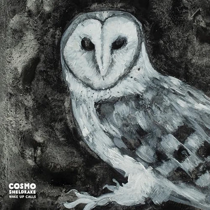 Dawn Chorus Cosmo Sheldrake Ringtones